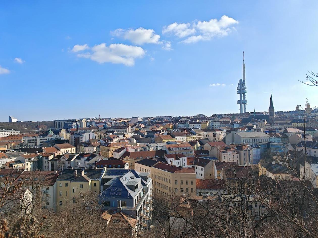 Flat In Zizkov -101- Praha
