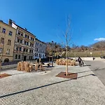 Flat In Zizkov -101-